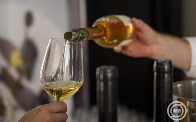 Idén is balatoni termelők nyerték a Magyar Bor Nagydíjat