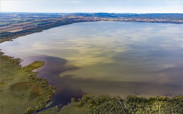 A lehűlés megállította az algák szaporodását a Balatonban